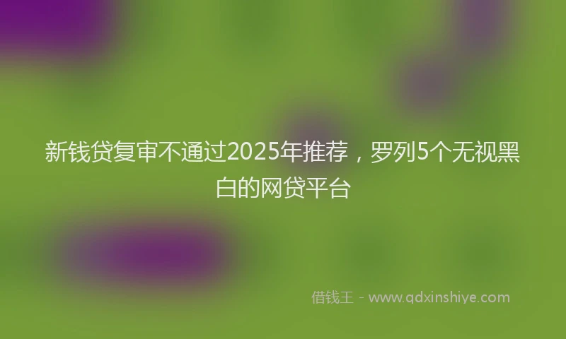 新钱贷复审不通过2025年推荐，罗列5个无视黑白的网贷平台