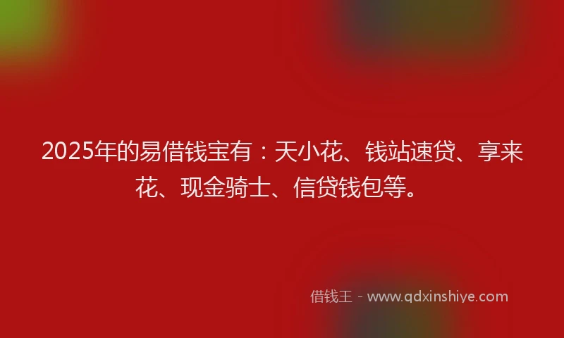 2025年的易借钱宝有：天小花、钱站速贷、享来花、现金骑士、信贷钱包等。