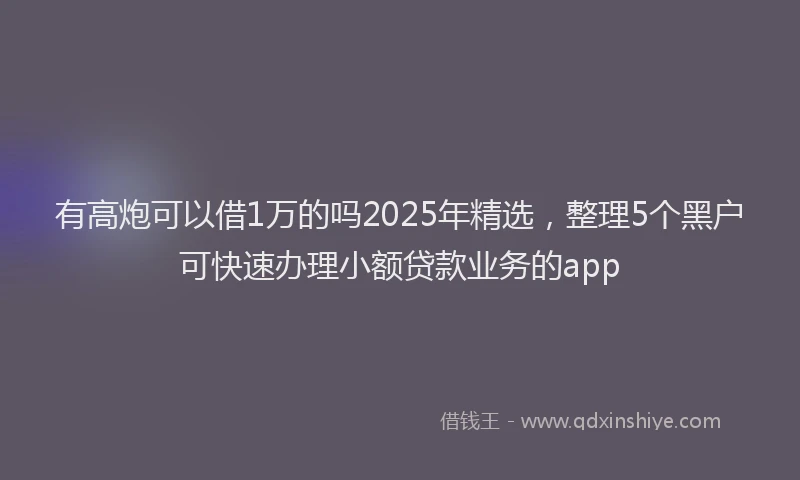 有高炮可以借1万的吗2025年精选，整理5个黑户可快速办理小额贷款业务的app