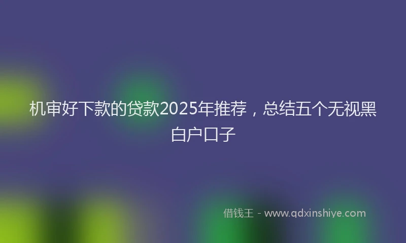 机审好下款的贷款2025年推荐，总结五个无视黑白户口子