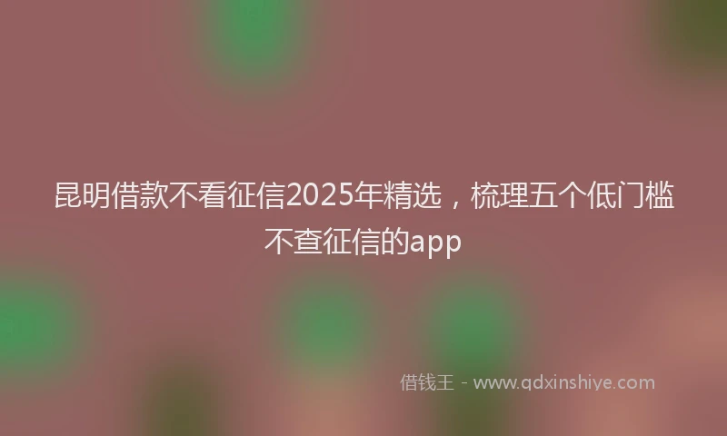 昆明借款不看征信2025年精选，梳理五个低门槛不查征信的app