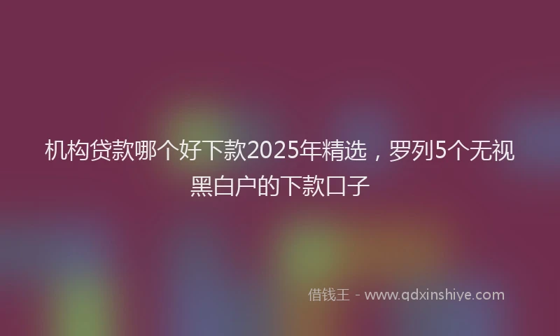 机构贷款哪个好下款2025年精选，罗列5个无视黑白户的下款口子