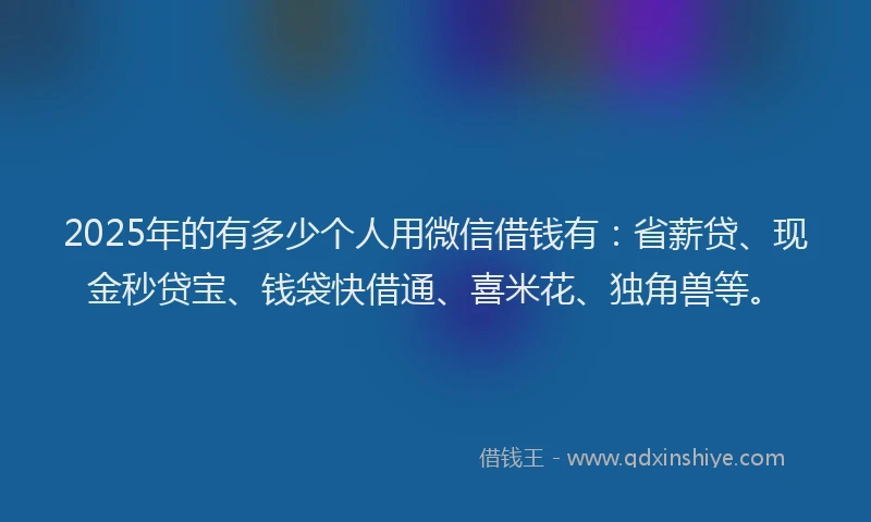 2025年的有多少个人用微信借钱有：省薪贷、现金秒贷宝、钱袋快借通、喜米花、独角兽等。