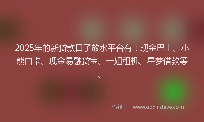 2025年的新贷款口子放水平台有：现金巴士、小熊白卡、现金易融贷宝、一姐租机、星梦借款等。
