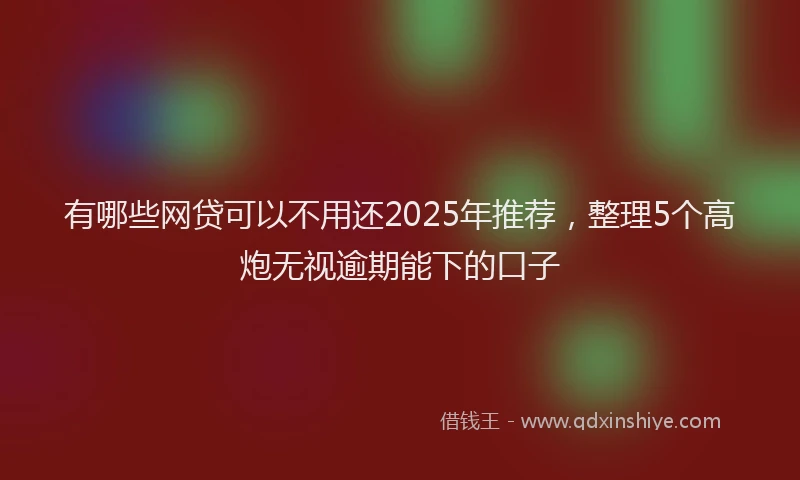 有哪些网贷可以不用还2025年推荐，整理5个高炮无视逾期能下的口子