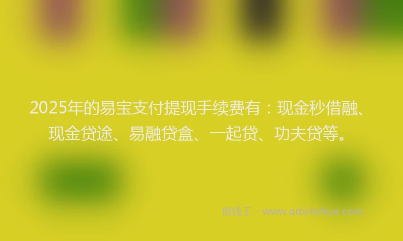 2025年的易宝支付提现手续费有：现金秒借融、现金贷途、易融贷盒、一起贷、功夫贷等。