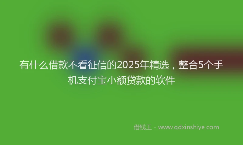 有什么借款不看征信的2025年精选，整合5个手机支付宝小额贷款的软件