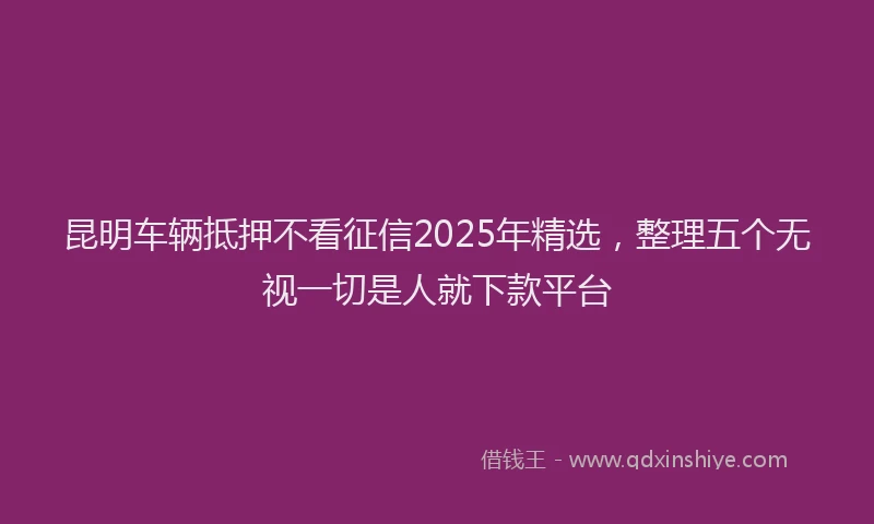 昆明车辆抵押不看征信2025年精选，整理五个无视一切是人就下款平台