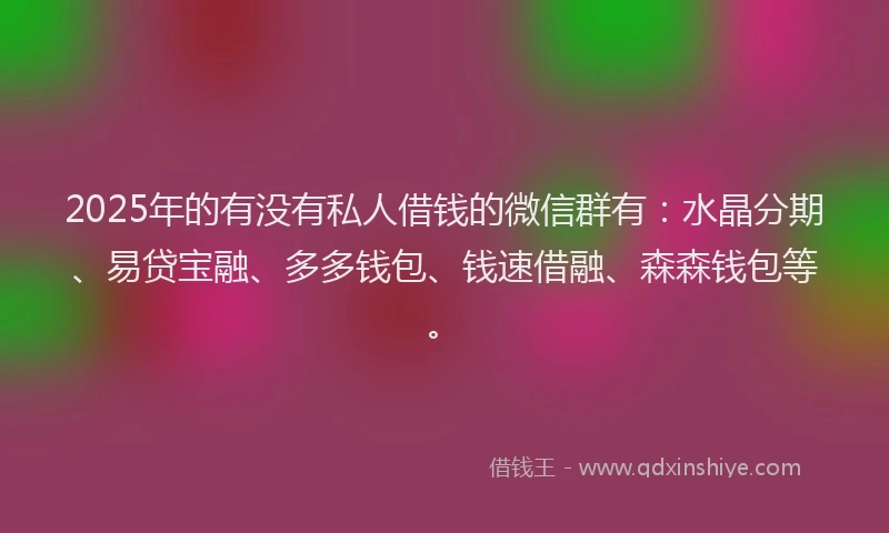 2025年的有没有私人借钱的微信群有：水晶分期、易贷宝融、多多钱包、钱速借融、森森钱包等。