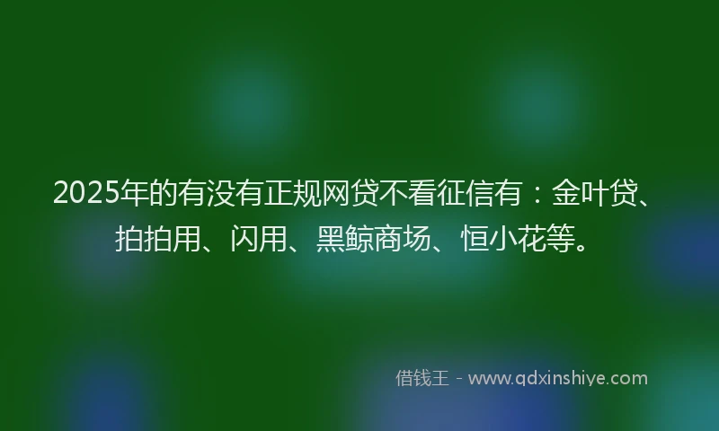 2025年的有没有正规网贷不看征信有：金叶贷、拍拍用、闪用、黑鲸商场、恒小花等。
