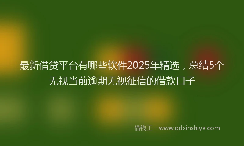 最新借贷平台有哪些软件2025年精选，总结5个无视当前逾期无视征信的借款口子