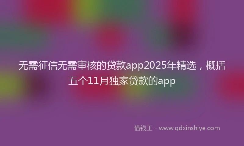 无需征信无需审核的贷款app2025年精选，概括五个11月独家贷款的app