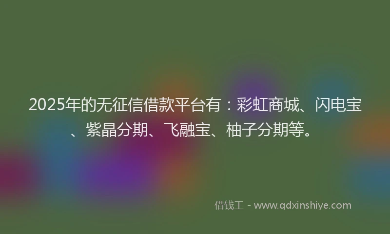 2025年的无征信借款平台有：彩虹商城、闪电宝、紫晶分期、飞融宝、柚子分期等。