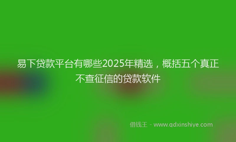 易下贷款平台有哪些2025年精选，概括五个真正不查征信的贷款软件