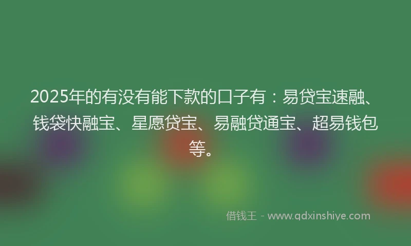 2025年的有没有能下款的口子有：易贷宝速融、钱袋快融宝、星愿贷宝、易融贷通宝、超易钱包等。