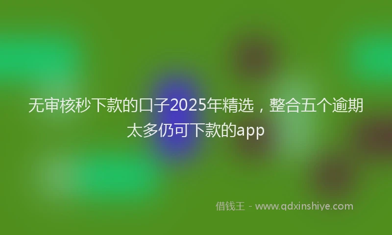 无审核秒下款的口子2025年精选，整合五个逾期太多仍可下款的app