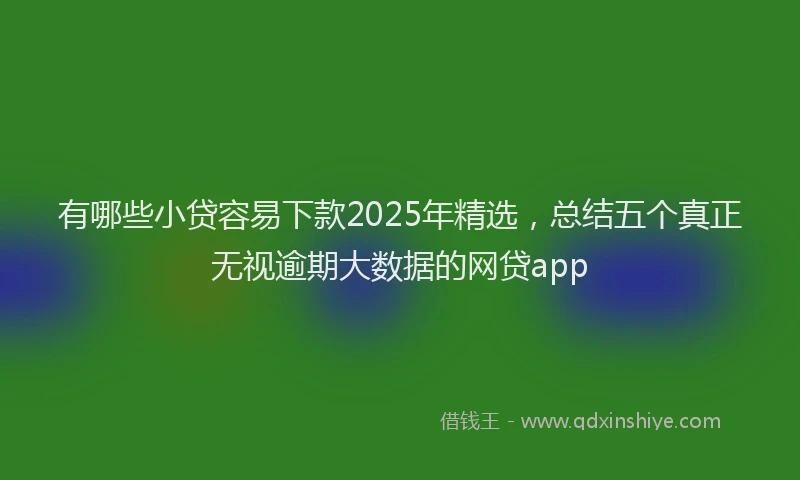 有哪些小贷容易下款2025年精选，总结五个真正无视逾期大数据的网贷app