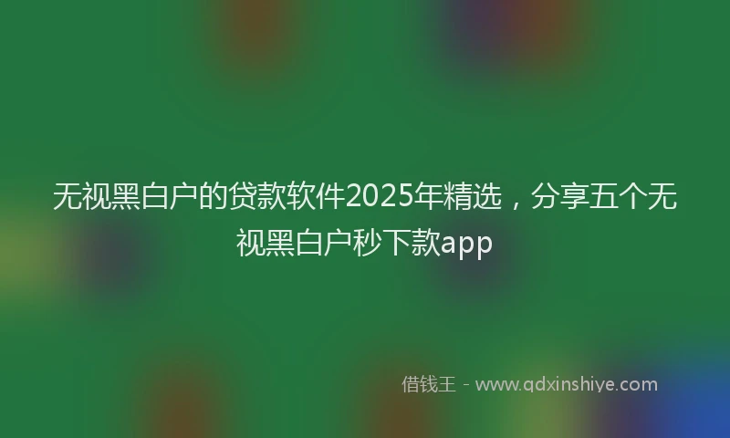 无视黑白户的贷款软件2025年精选，分享五个无视黑白户秒下款app