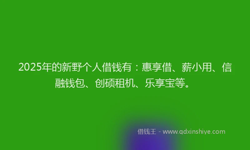 2025年的新野个人借钱有：惠享借、薪小用、信融钱包、创硕租机、乐享宝等。