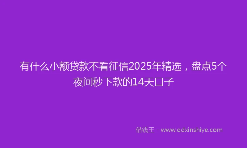有什么小额贷款不看征信2025年精选，盘点5个夜间秒下款的14天口子