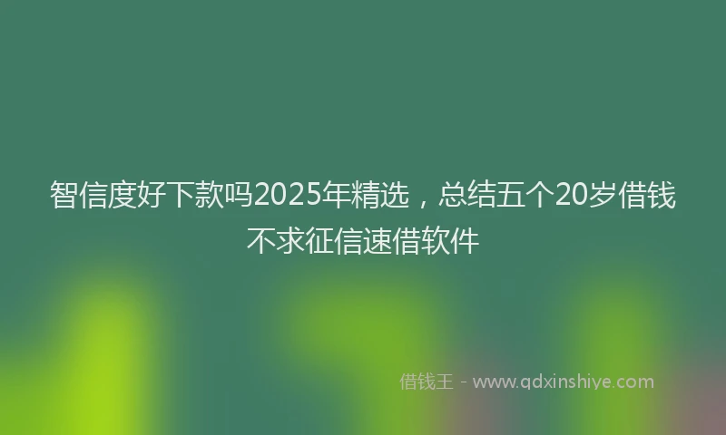 智信度好下款吗2025年精选，总结五个20岁借钱不求征信速借软件