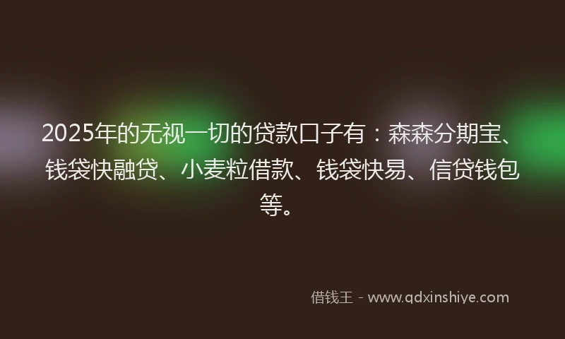 2025年的无视一切的贷款口子有：森森分期宝、钱袋快融贷、小麦粒借款、钱袋快易、信贷钱包等。