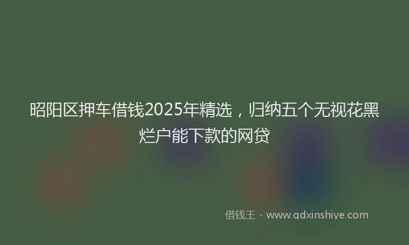 昭阳区押车借钱2025年精选，归纳五个无视花黑烂户能下款的网贷