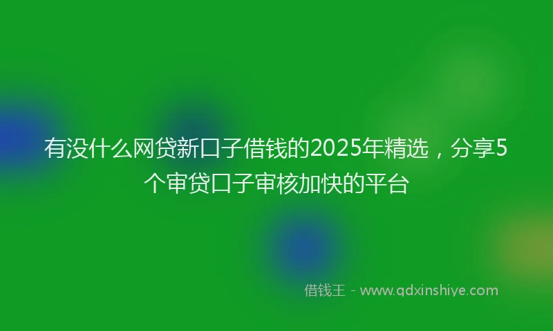 有没什么网贷新口子借钱的2025年精选，分享5个审贷口子审核加快的平台