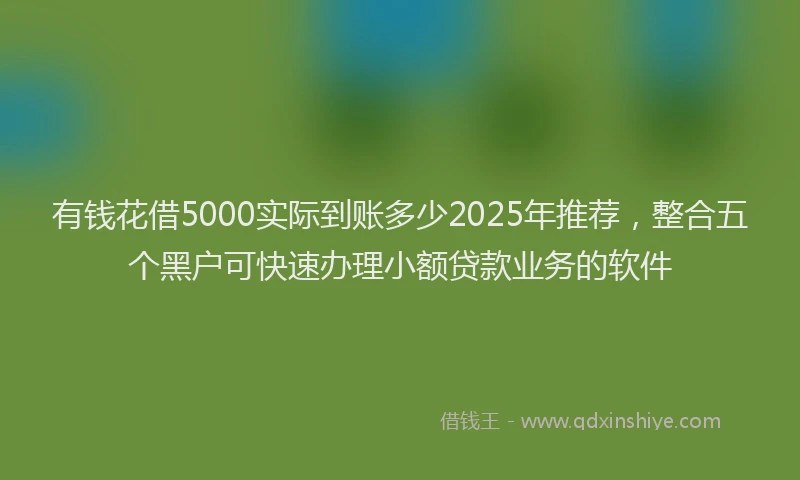 有钱花借5000实际到账多少2025年推荐，整合五个黑户可快速办理小额贷款业务的软件