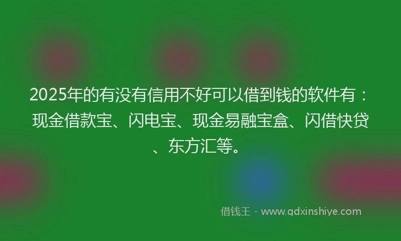 2025年的有没有信用不好可以借到钱的软件有：现金借款宝、闪电宝、现金易融宝盒、闪借快贷、东方汇等。