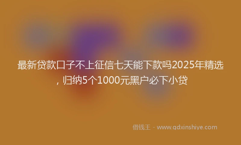最新贷款口子不上征信七天能下款吗2025年精选，归纳5个1000元黑户必下小贷