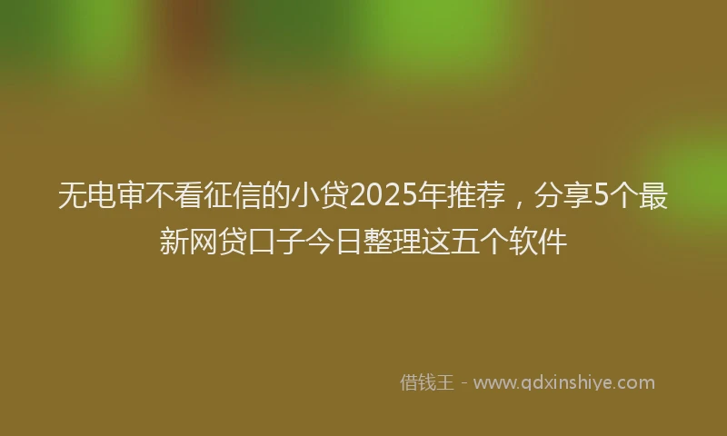 无电审不看征信的小贷2025年推荐，分享5个最新网贷口子今日整理这五个软件