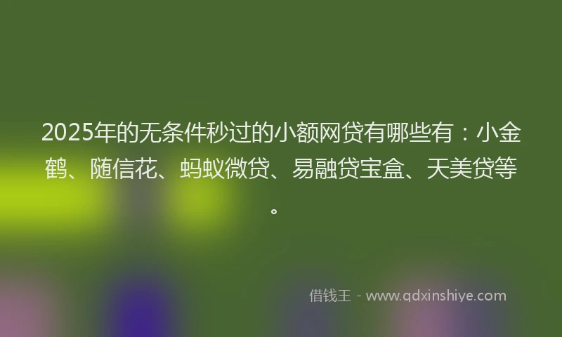 2025年的无条件秒过的小额网贷有哪些有：小金鹤、随信花、蚂蚁微贷、易融贷宝盒、天美贷等。