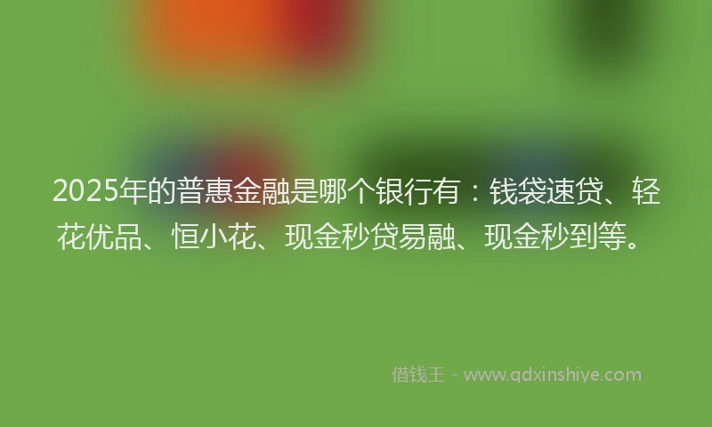 2025年的普惠金融是哪个银行有：钱袋速贷、轻花优品、恒小花、现金秒贷易融、现金秒到等。