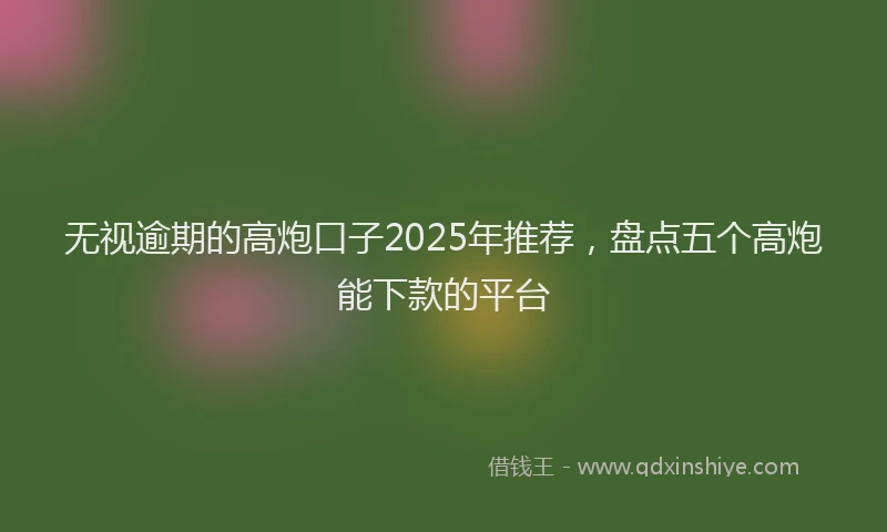 无视逾期的高炮口子2025年推荐，盘点五个高炮能下款的平台