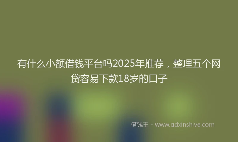 有什么小额借钱平台吗2025年推荐，整理五个网贷容易下款18岁的口子