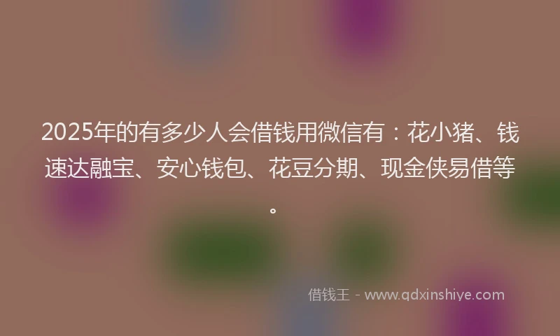 2025年的有多少人会借钱用微信有：花小猪、钱速达融宝、安心钱包、花豆分期、现金侠易借等。