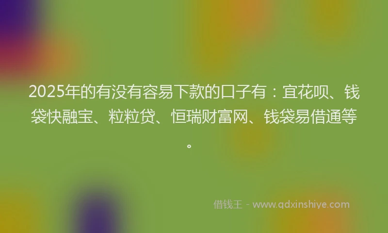 2025年的有没有容易下款的口子有：宜花呗、钱袋快融宝、粒粒贷、恒瑞财富网、钱袋易借通等。