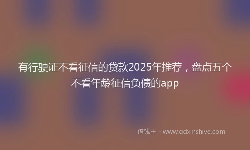 有行驶证不看征信的贷款2025年推荐，盘点五个不看年龄征信负债的app