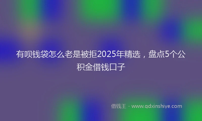 有呗钱袋怎么老是被拒2025年精选，盘点5个公积金借钱口子