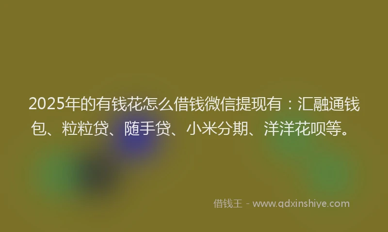 2025年的有钱花怎么借钱微信提现有：汇融通钱包、粒粒贷、随手贷、小米分期、洋洋花呗等。