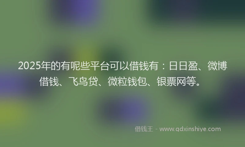 2025年的有呢些平台可以借钱有：日日盈、微博借钱、飞鸟贷、微粒钱包、银票网等。