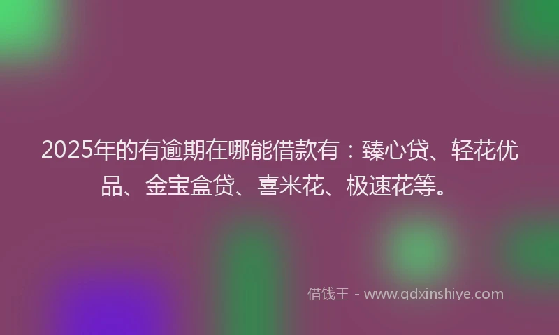 2025年的有逾期在哪能借款有：臻心贷、轻花优品、金宝盒贷、喜米花、极速花等。