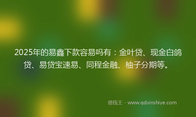 2025年的易鑫下款容易吗有：金叶贷、现金白鸽贷、易贷宝速易、同程金融、柚子分期等。