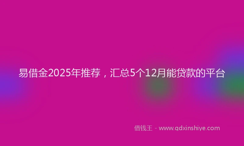 易借金2025年推荐，汇总5个12月能贷款的平台