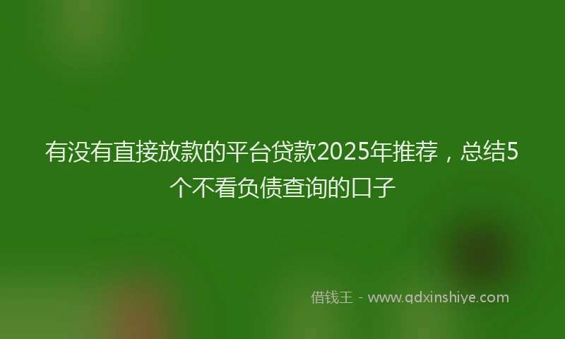 有没有直接放款的平台贷款2025年推荐，总结5个不看负债查询的口子
