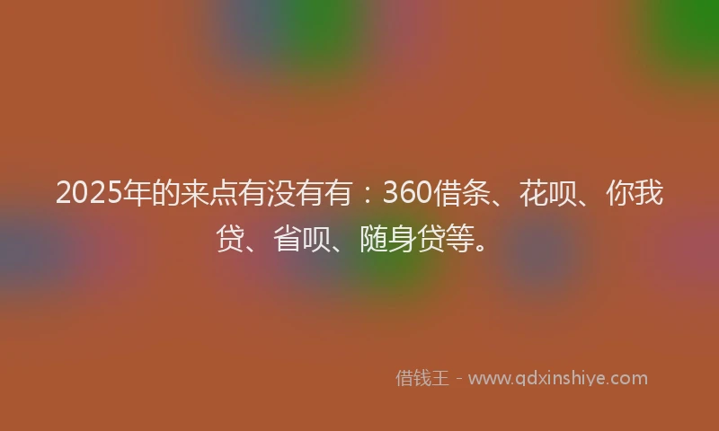 2025年的来点有没有有：360借条、花呗、你我贷、省呗、随身贷等。
