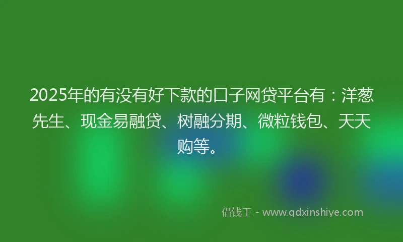 2025年的有没有好下款的口子网贷平台有：洋葱先生、现金易融贷、树融分期、微粒钱包、天天购等。