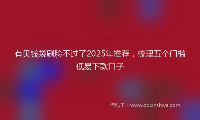 有贝钱袋刷脸不过了2025年推荐，梳理五个门槛低易下款口子