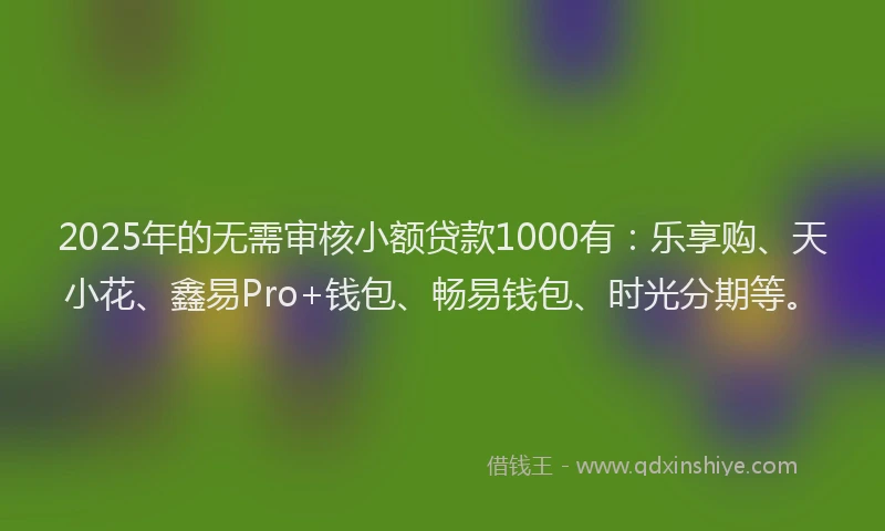 2025年的无需审核小额贷款1000有：乐享购、天小花、鑫易Pro+钱包、畅易钱包、时光分期等。